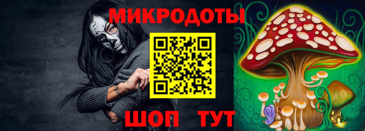 Галлюциногенные грибы ЛСД Дальнегорск