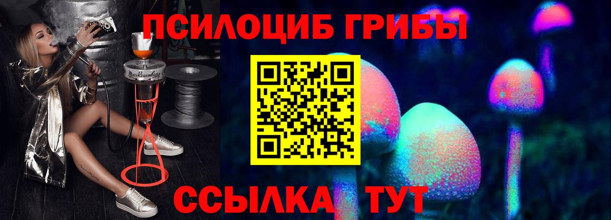 Дальнегорск  Галлюциногенные грибы мицелий  Вход с VPN 